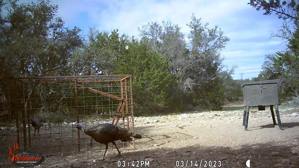 Picture 13
