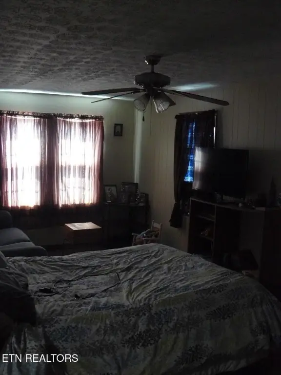 Picture 17