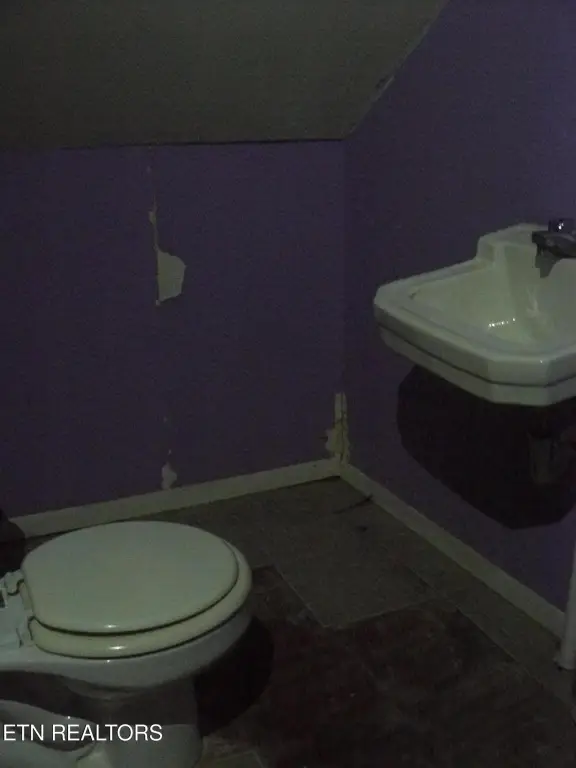 Picture 23