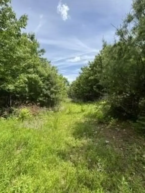 Picture 3