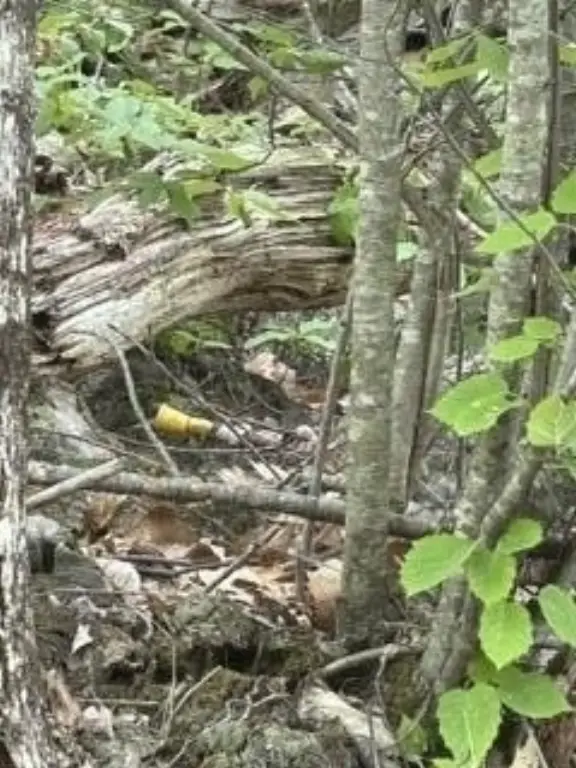Picture 9