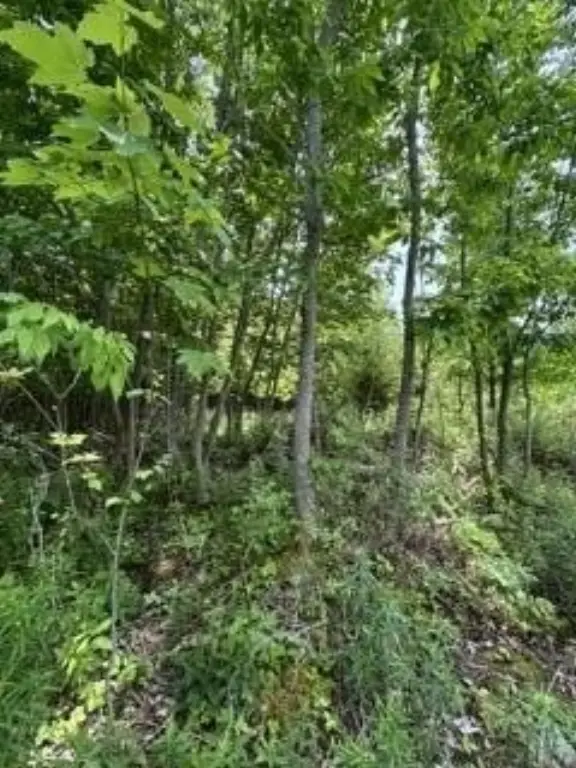 Picture 7