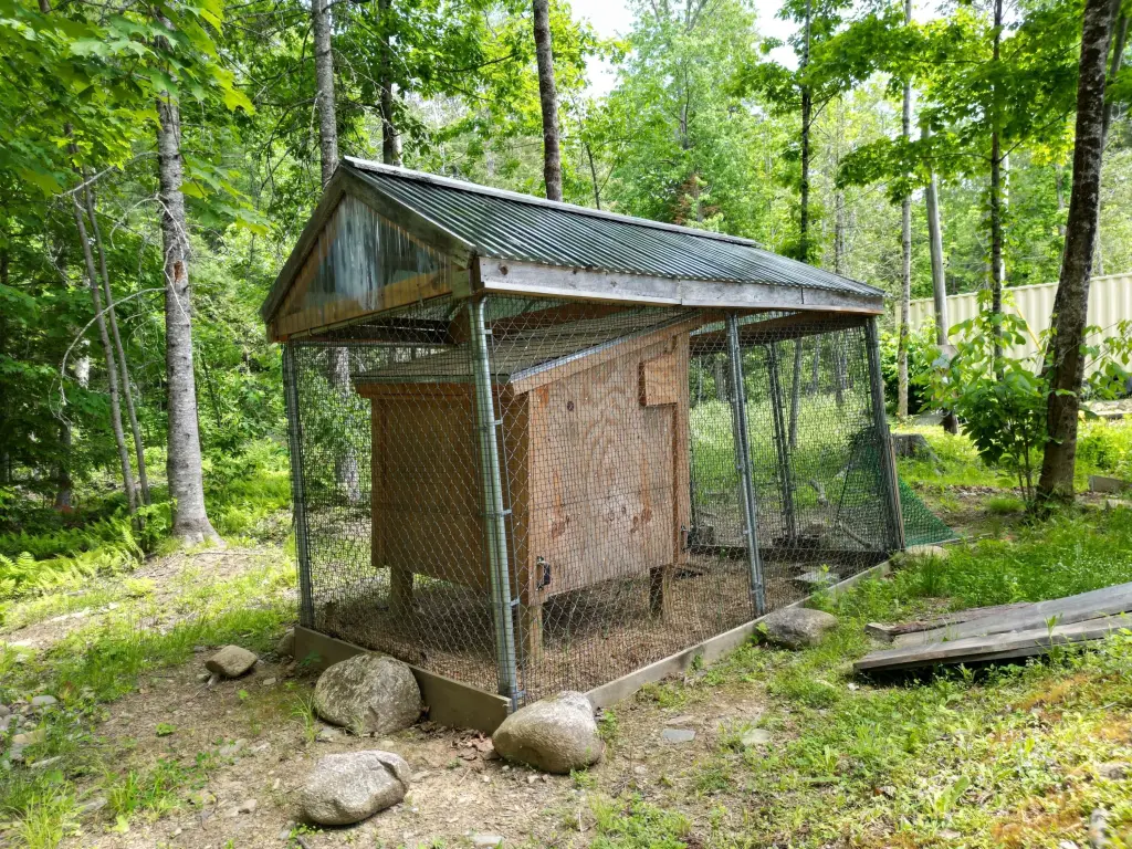 Picture 20