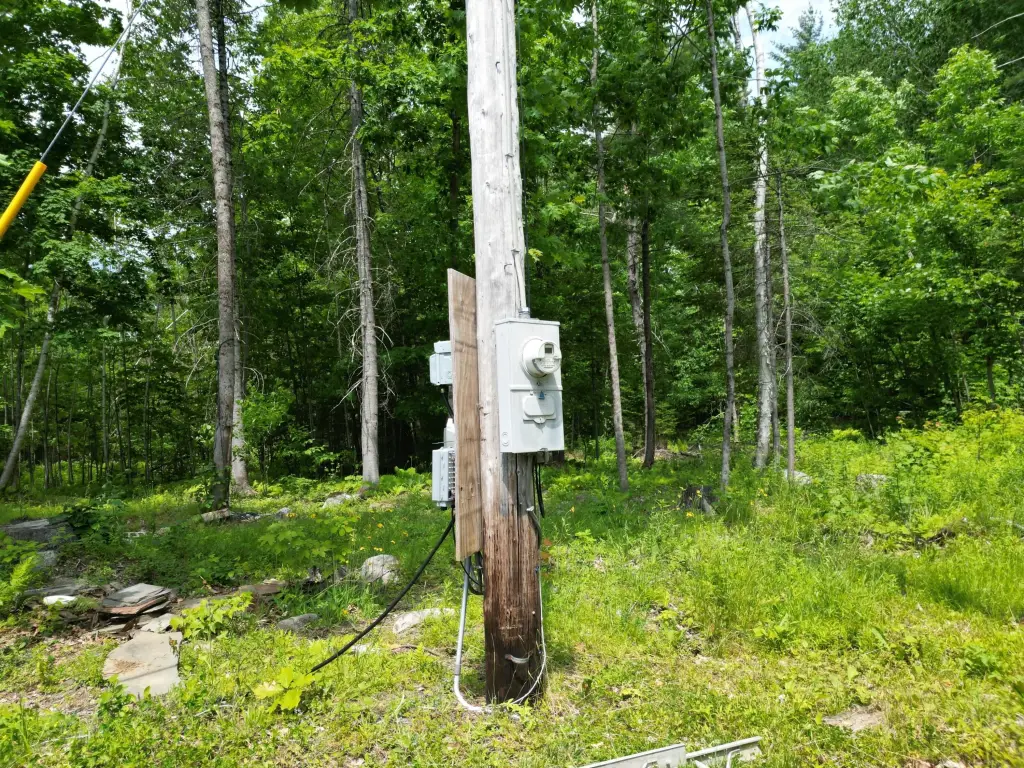 Picture 5