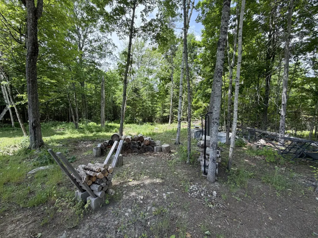 Picture 8