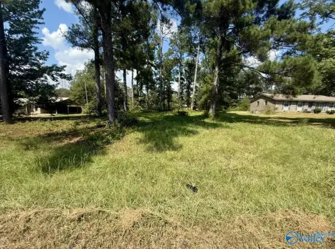 Level Lot in Centre, AL