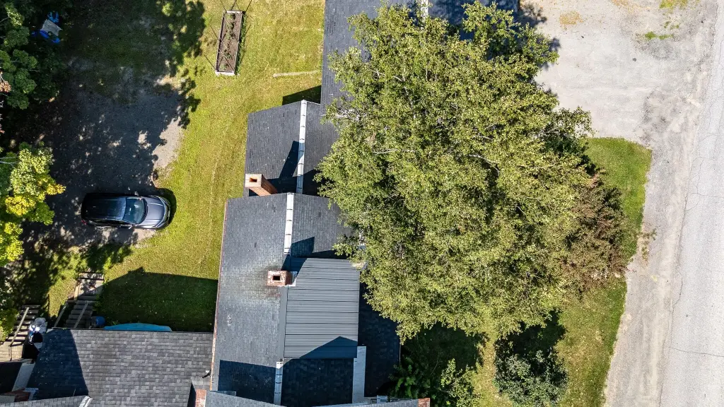 Picture 88
