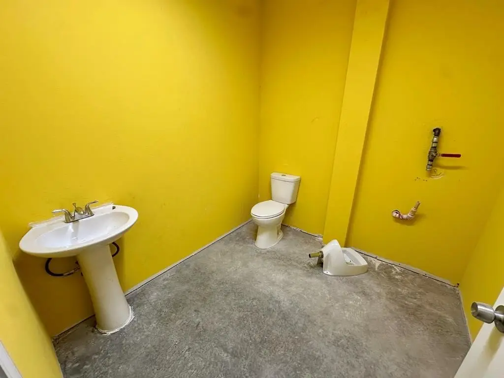Picture 42