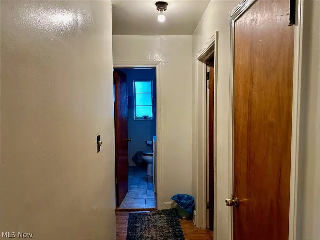 Picture 17