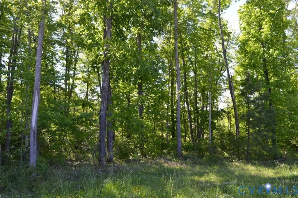 Picture 8