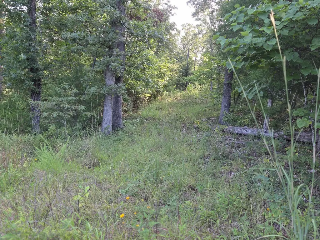 Picture 30
