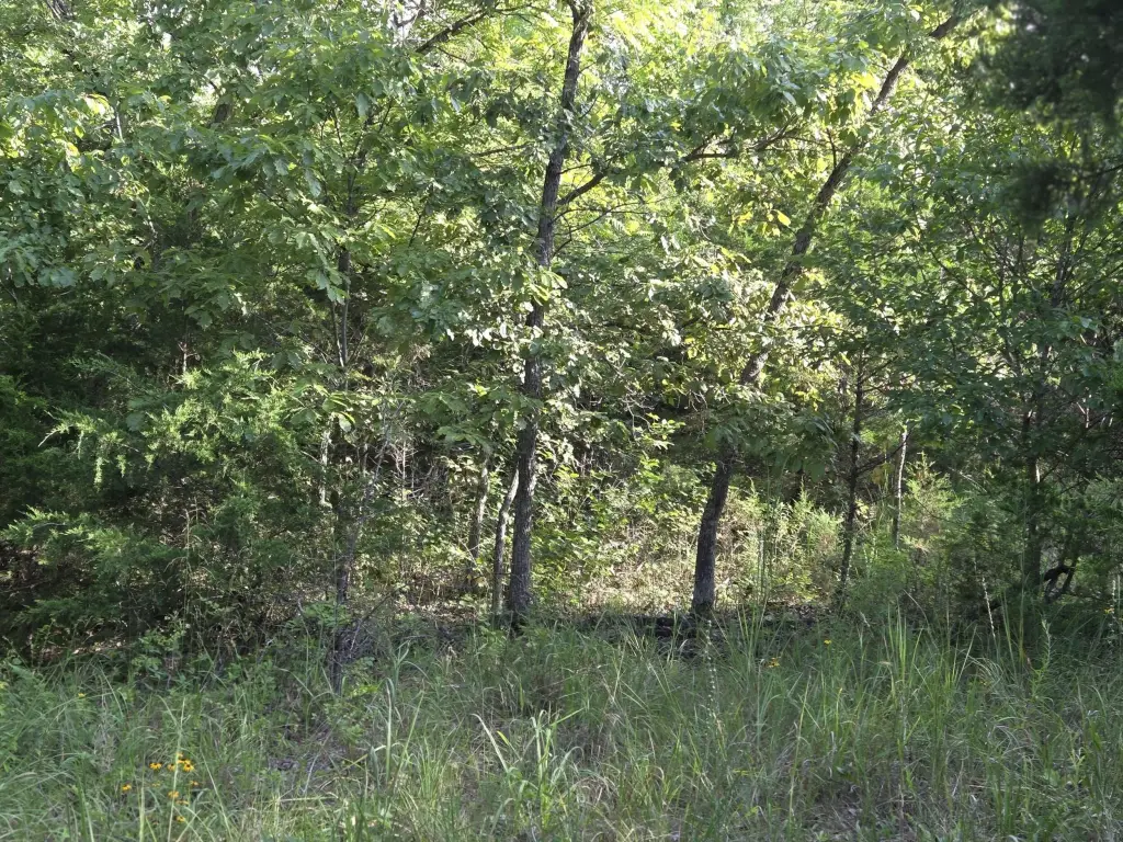 Picture 9