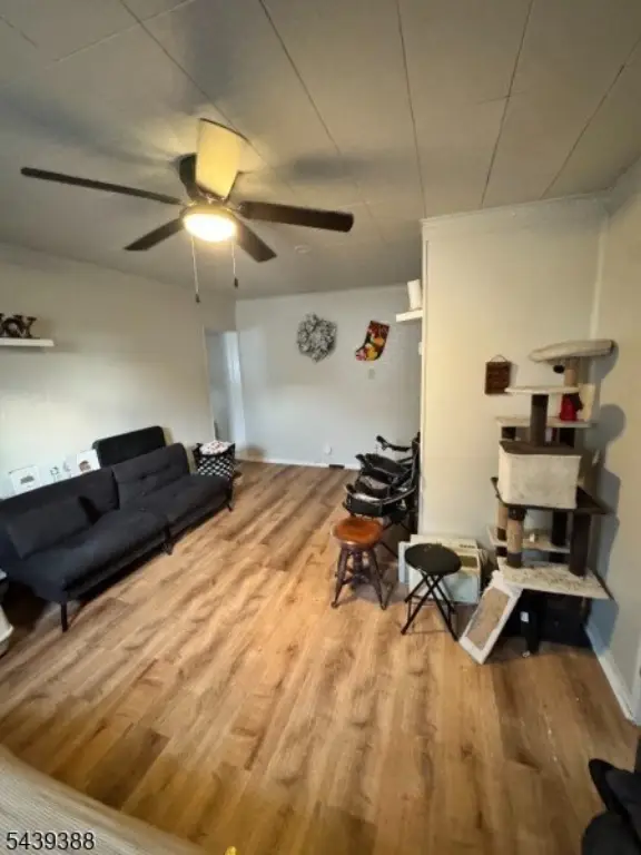 Picture 28