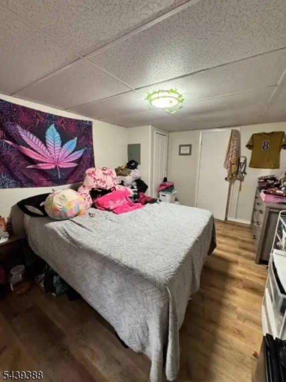 Picture 29