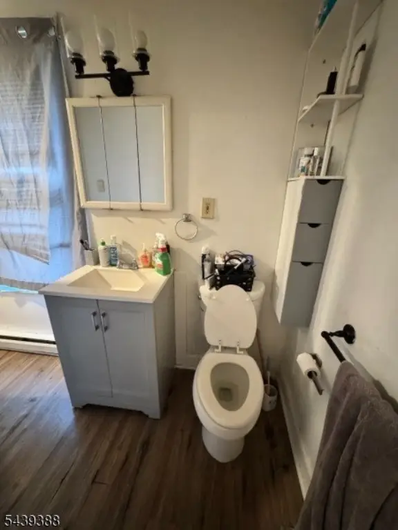 Picture 21