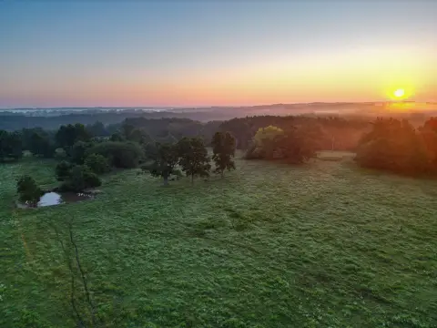 Fenced Agricultural Land