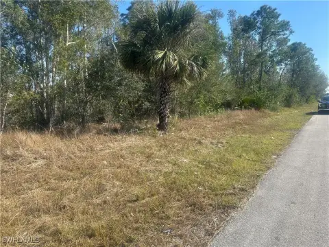 Residential Lot in Lehigh Acres