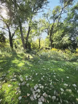 Vacant Lot Near Downtown