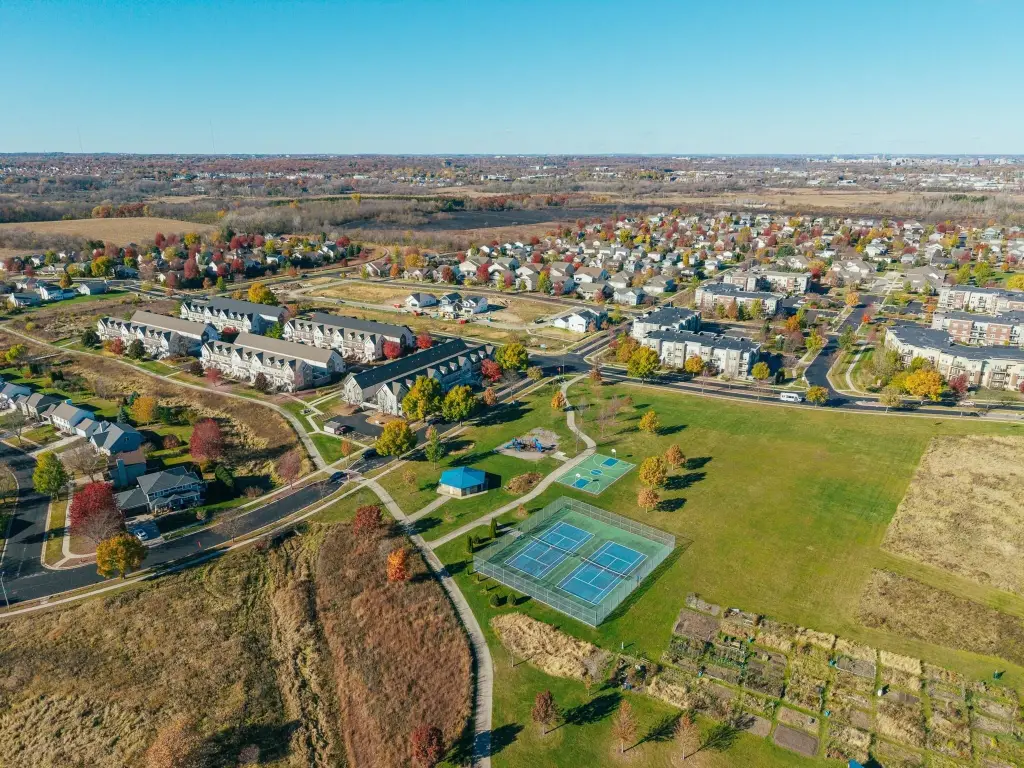 Picture 5