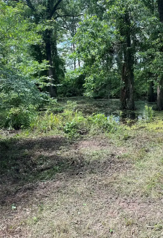 Picture 17