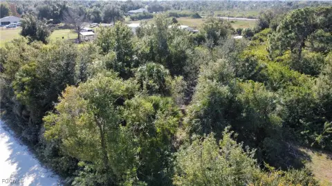 Punta Gorda Wooded Corner Lot