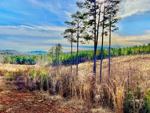 Talking Rock Vacant Lot