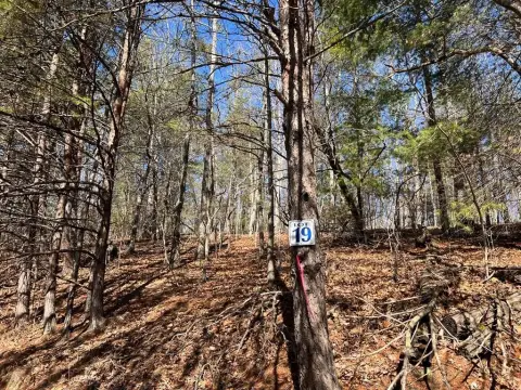 Hayesville, NC Vacant Homesite