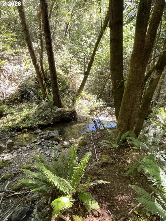 Picture 41