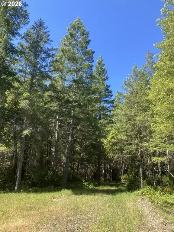 Picture 36