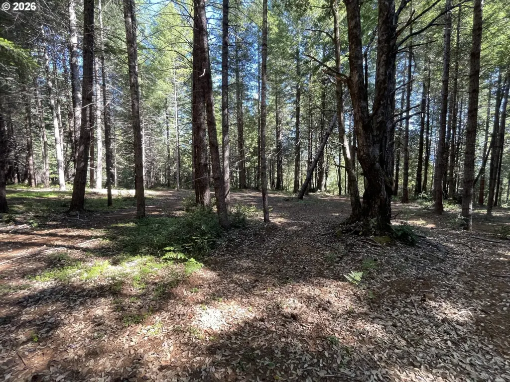 Picture 10