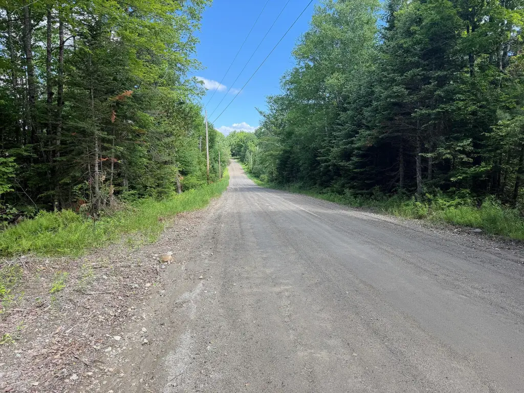 Picture 20