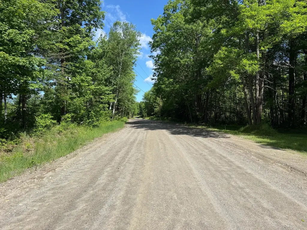 Picture 16