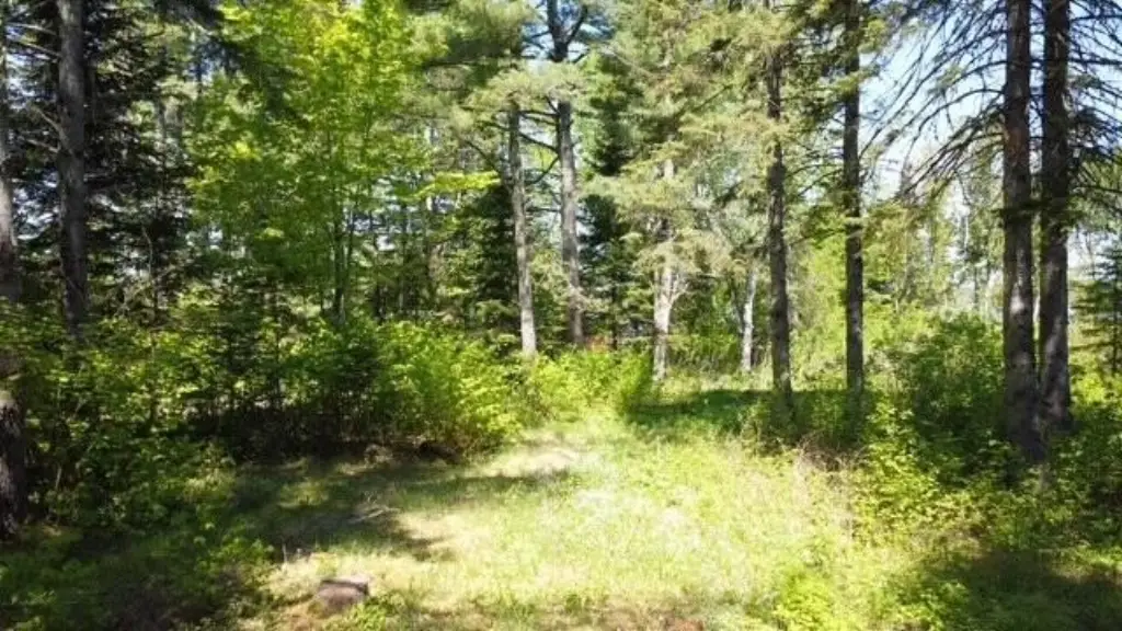 Picture 13