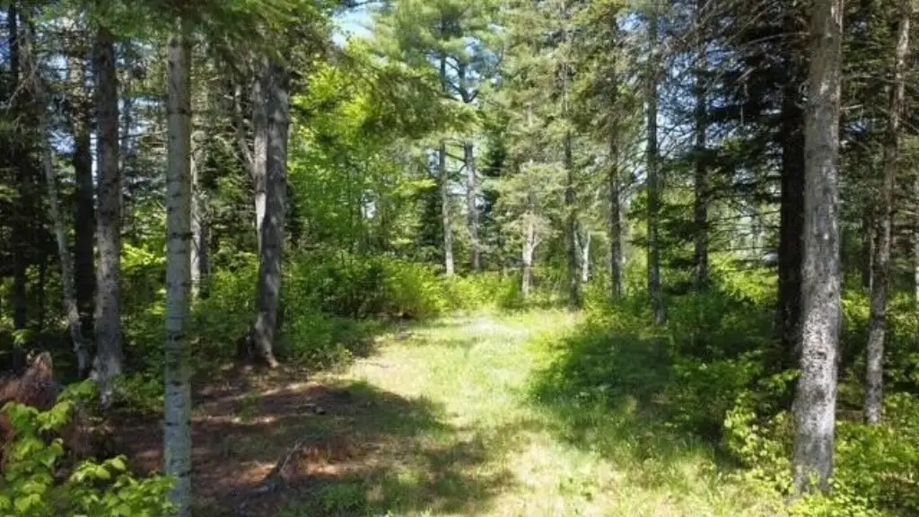Picture 14