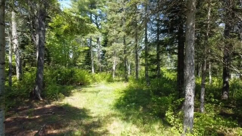 Picture 12