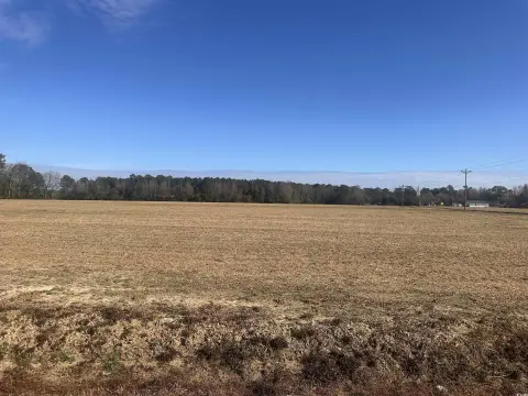 Land in Nichols, South Carolina