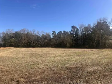Expansive Land in Nichols, SC