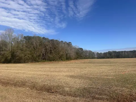 3.31 Acres in Nichols, SC
