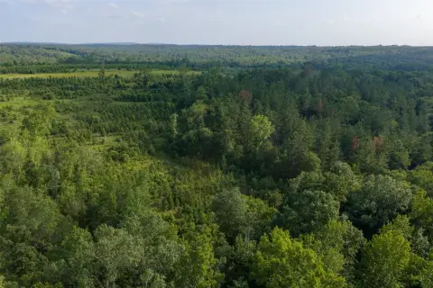 Timber and Recreational Land Tract