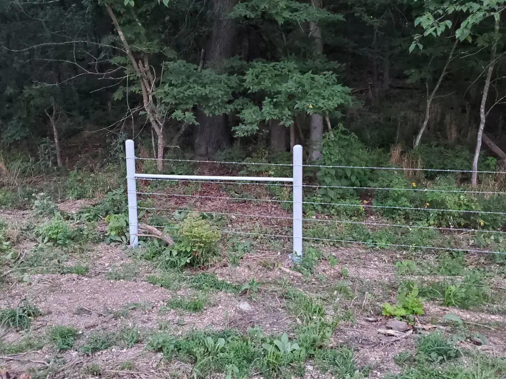 Picture 23
