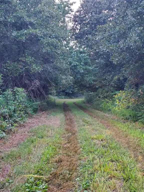 Picture 21