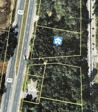 Commercial Lot on Highway 301