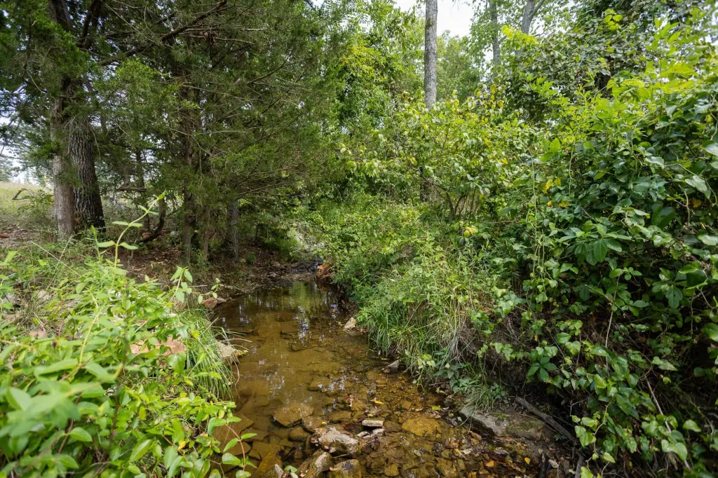 Picture 33