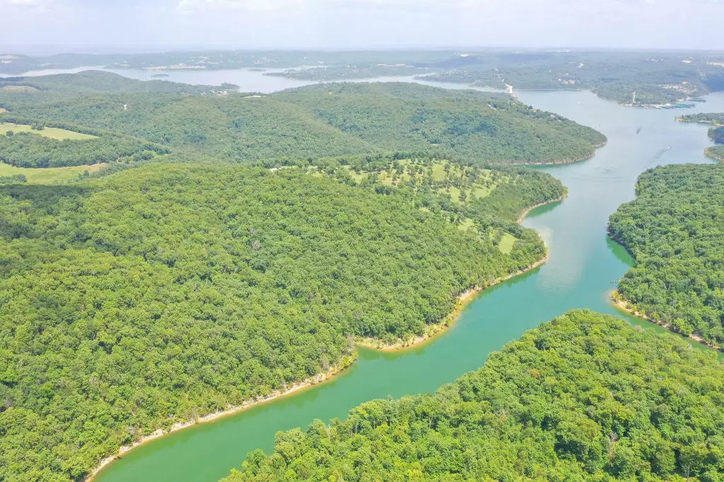 Picture 35