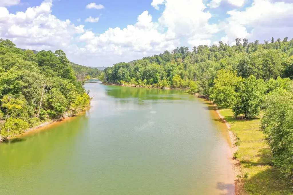 Picture 36
