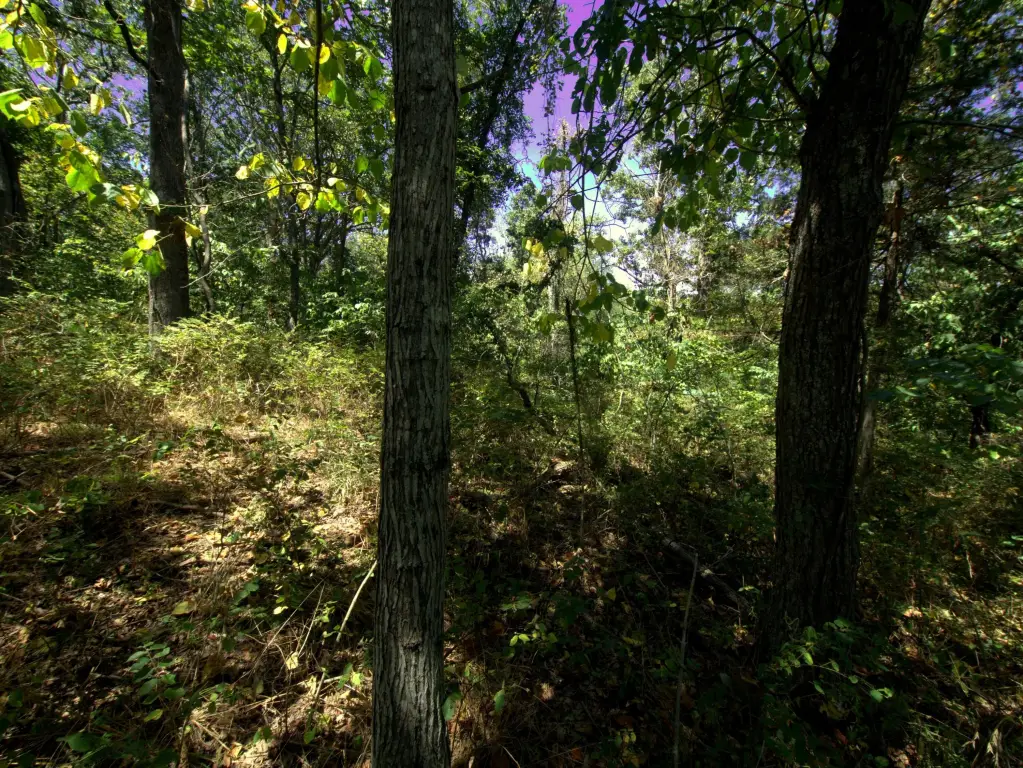 Picture 20