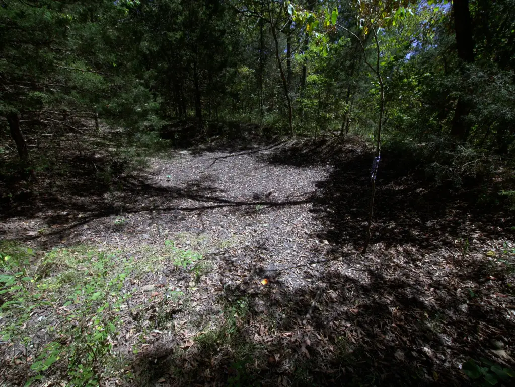 Picture 17