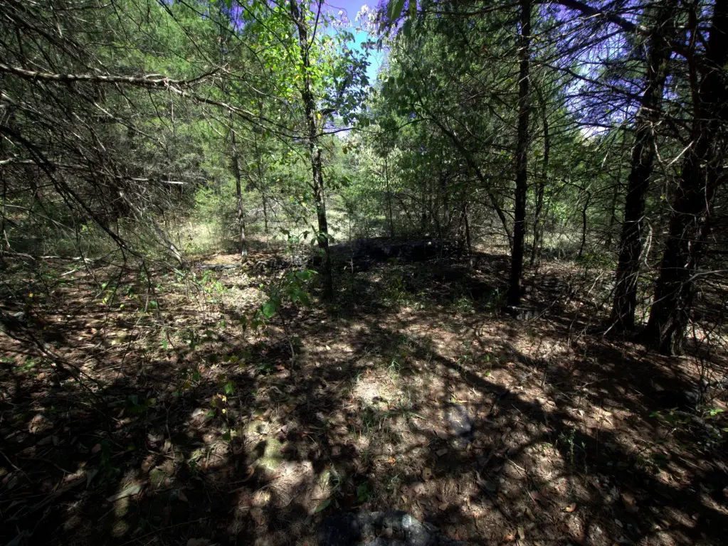 Picture 16