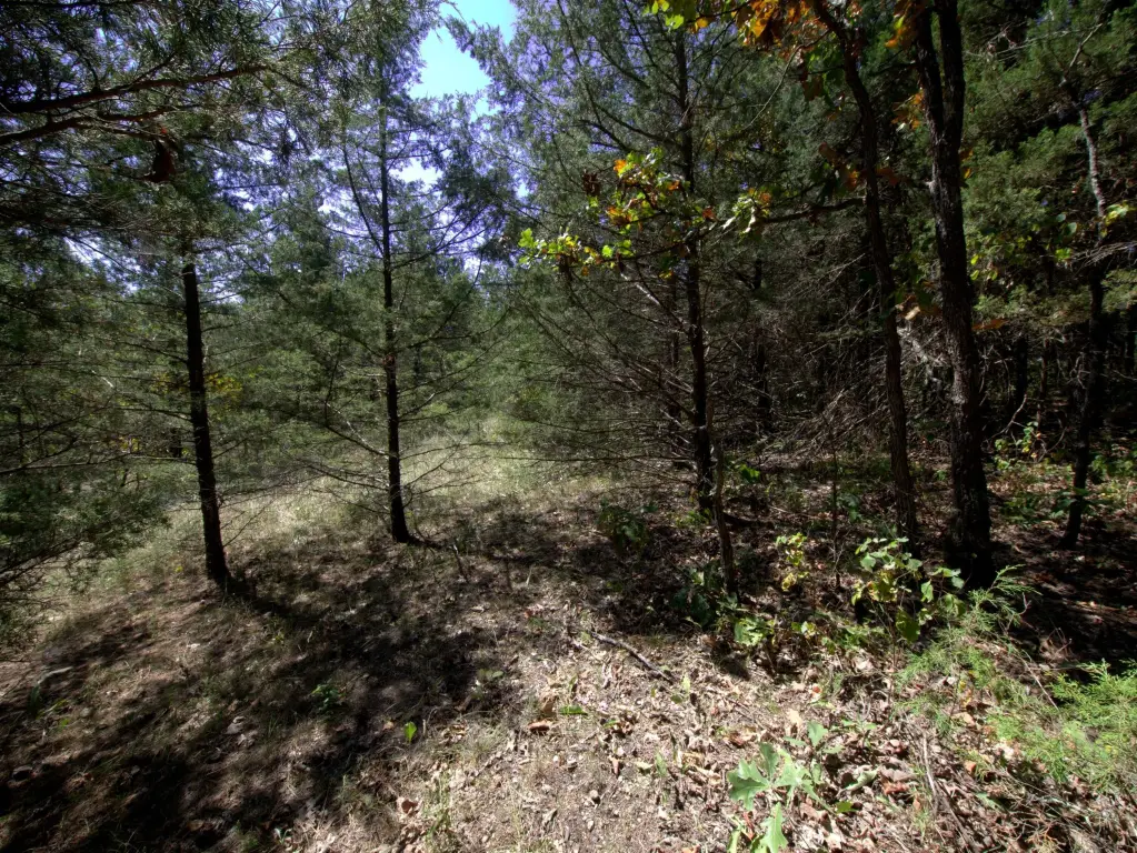 Picture 14