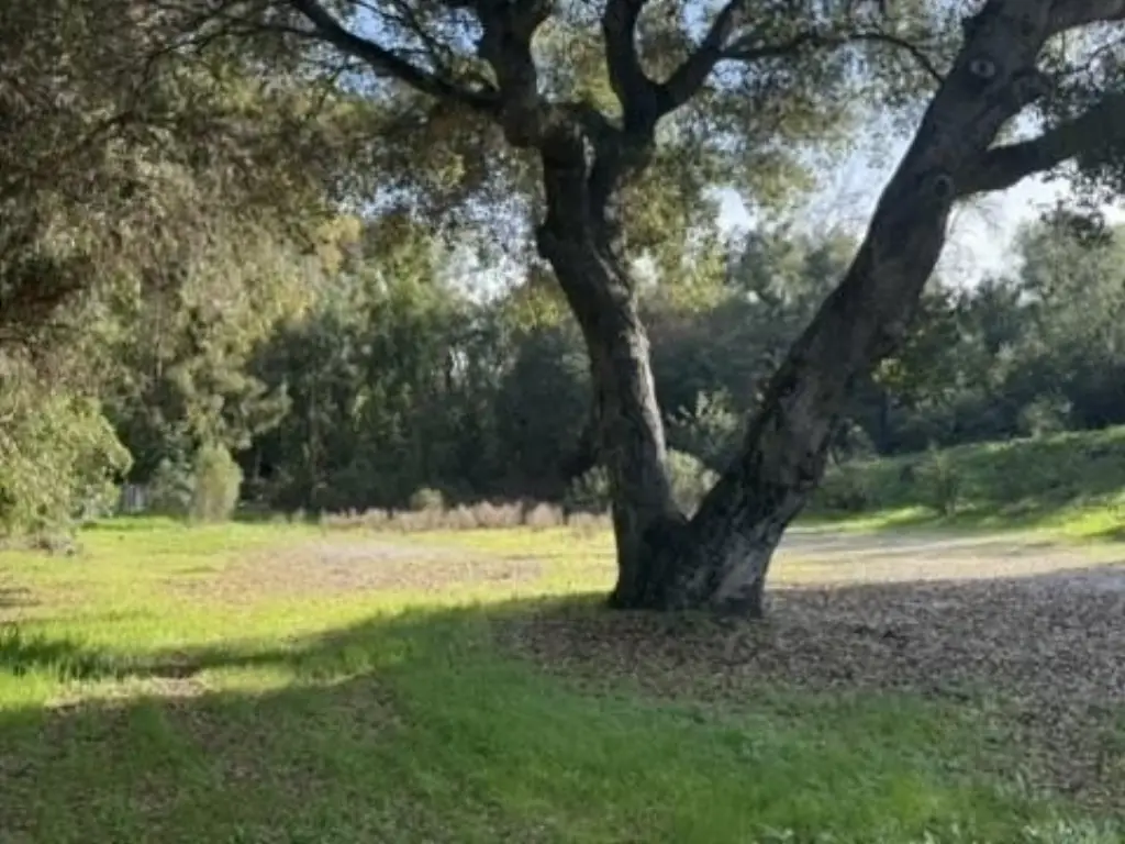 Picture 26